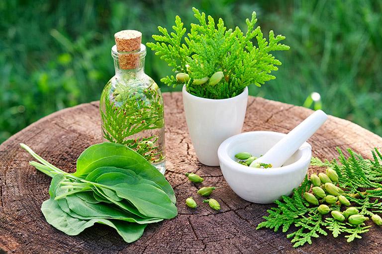 uống lá gì để tiêu u