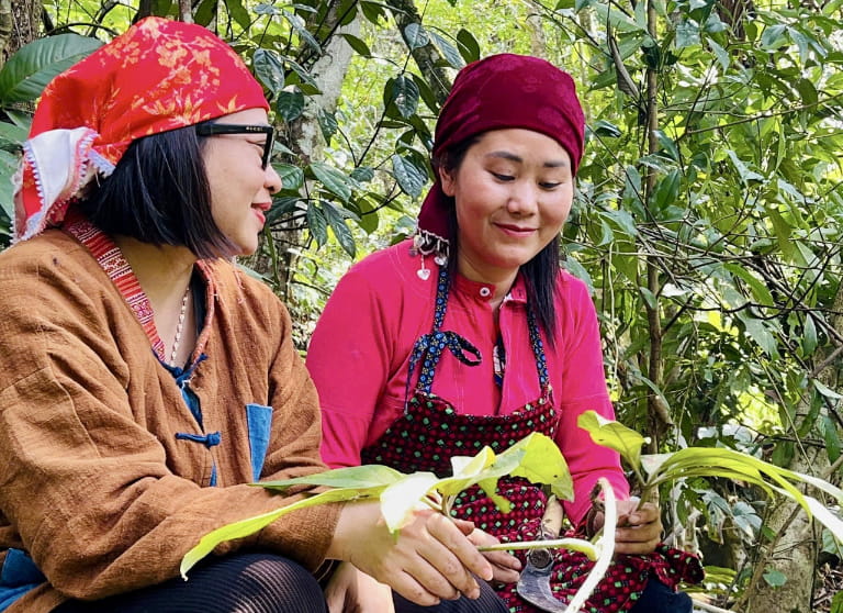 Lương y Nguyễn Thị Thái chữa u xơ