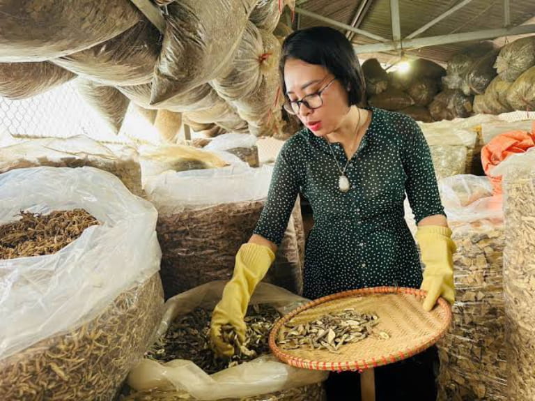 Quy trình điều trị yếu sinh lý với Lương y Nguyễn Thị Thái