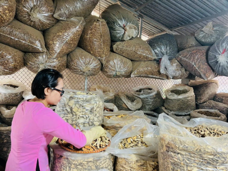 Phác đồ hiếm muộn Lương y Nguyễn Thái