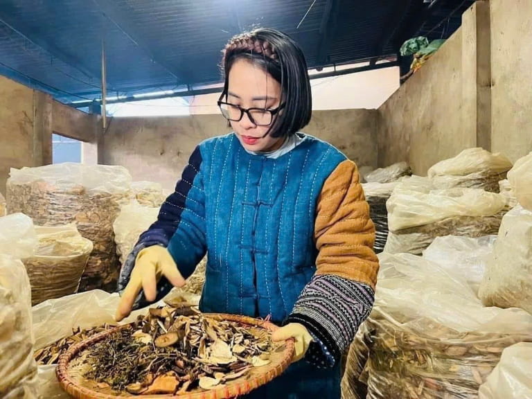 Nguyên tắc sử dụng thuốc đông y Nguyễn Thái một cách an toàn
