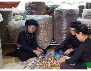 Tiêu chí đánh giá một lương y giỏi