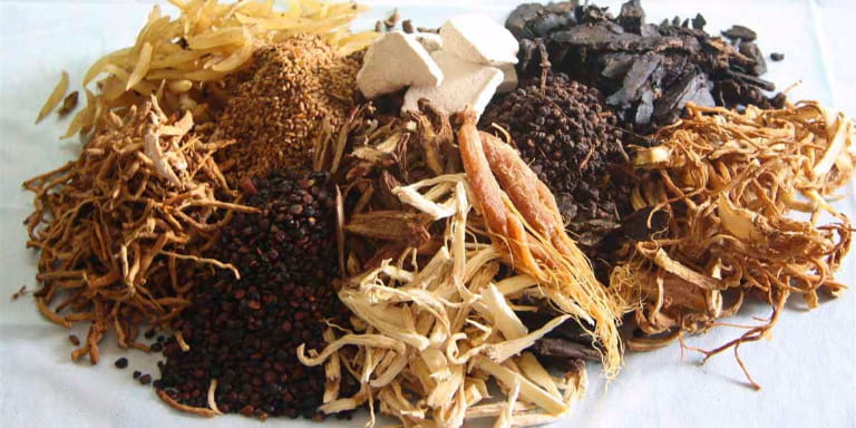 Trao đổi với bác sĩ, lương y để xây dựng liệu trình tiêu u